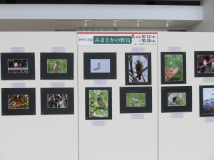 写真展